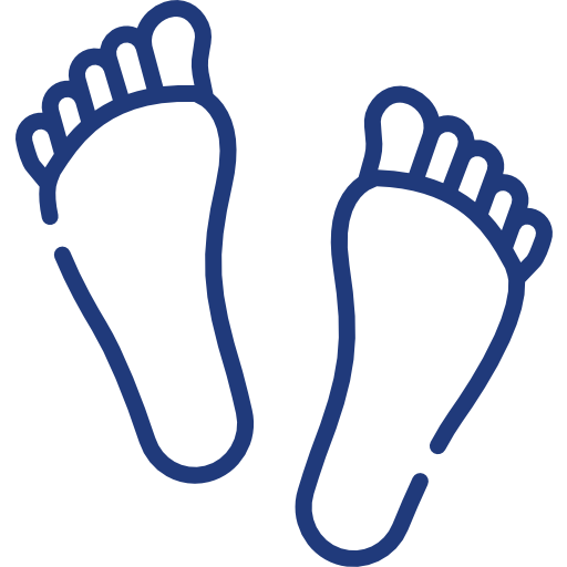 LES PIEDS